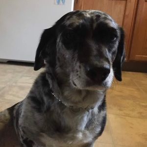 Meet your Posher, Andra